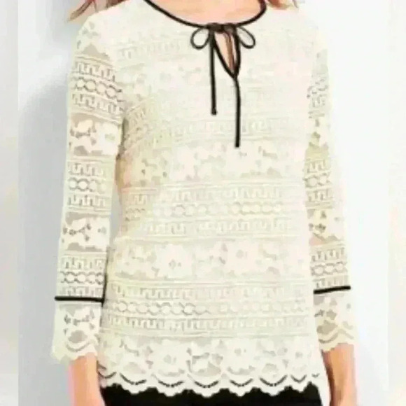 Gorgeous Talbots lace top with black velvet trim - Picture 1 of 8